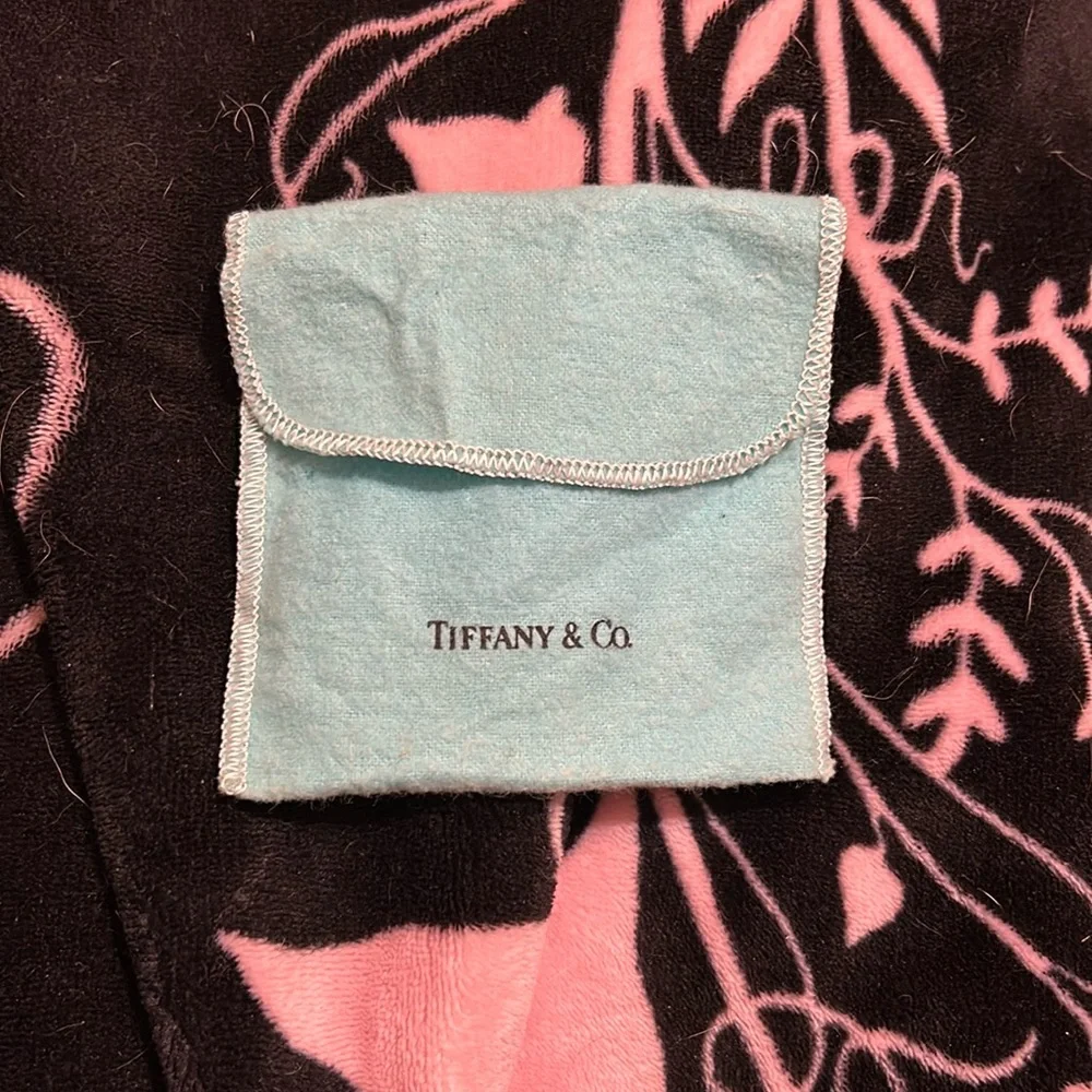 Tiffany and Co mini pouch (EUC) - Picture 1 of 11